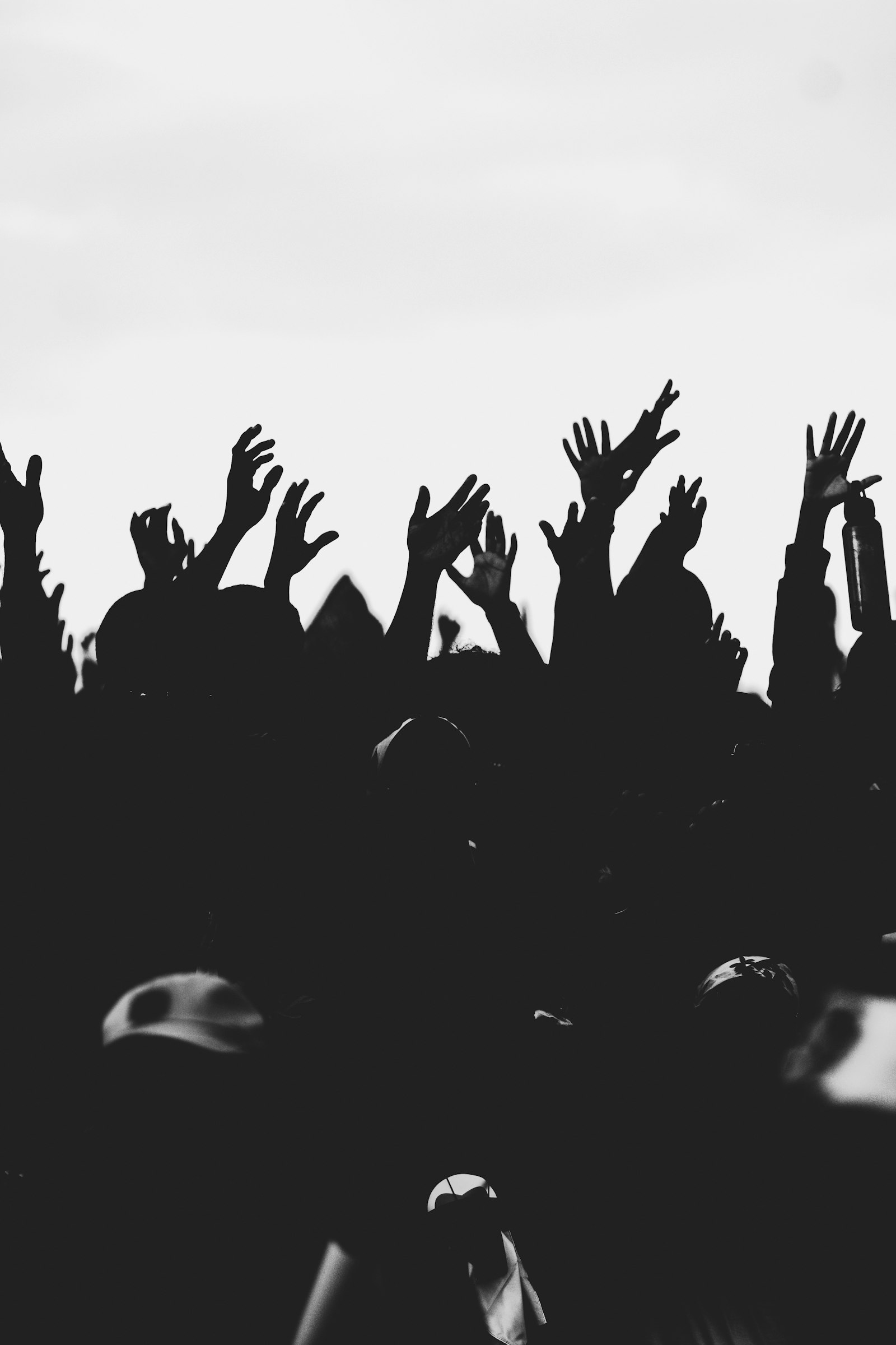 Multitud con las manos arriba en un evento en vivo